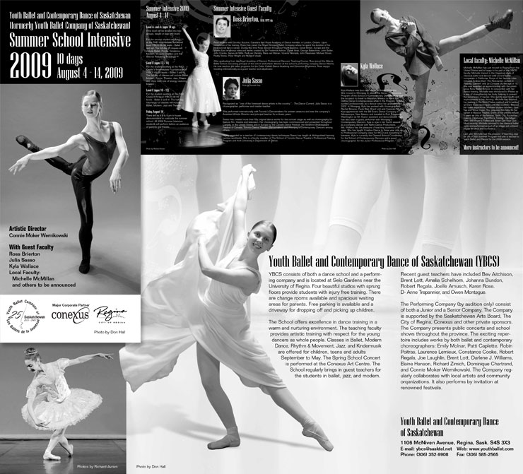 YBCS2009Brochure
