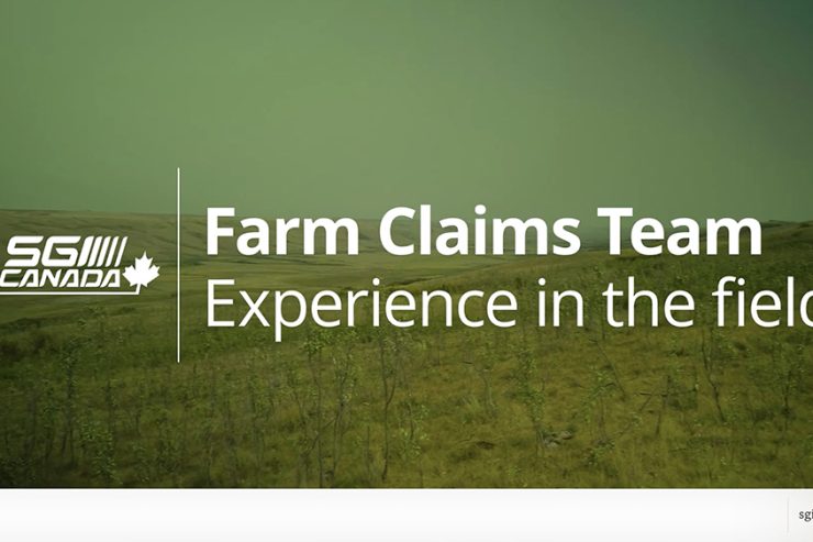 Experience in the field